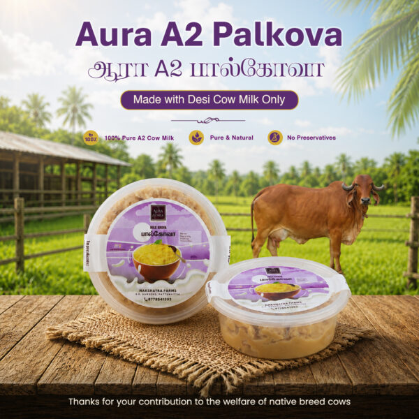 Aura Palkova